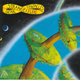 Illustration for article titled Covers That Rock: The Truth Revealed!
